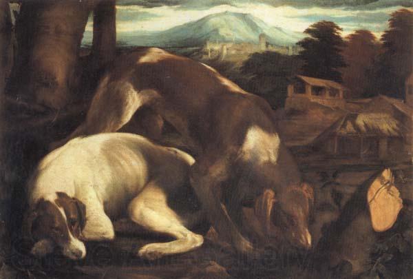 Jacopo Bassano Two Dogs